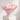 Blooming Whisper - 40 Pink & White Peonies