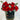PETAL LOVE – Blooms of Joy and Love.
