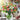 Petal Love’s Guide to Flower Care: How to Make Your Bouquets Last Longer