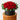 Round Box Arrangement