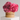 Hydrangea Bloom Box – Hydrangeas in Elegant Round Hatbox