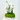 Grace in Bloom – A Timeless Elegance of White Ranunculus.