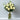 Elegant 12 White Rose Arrangement