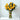 Elegant 12 Yellow Rose Arrangement