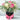 Elegance Bloom Box