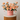 Pink Rose Box Arrangement (15 Roses)