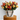 Rosy Harmony – Mixed Rose Medley