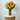 Elegant 12 Yellow Rose Arrangement